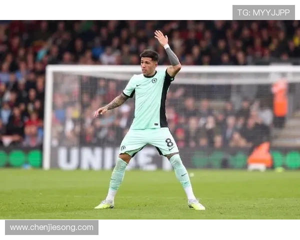 恩佐:球场条件限制我们展现风格 恩佐:球场条件限制我们展现风格